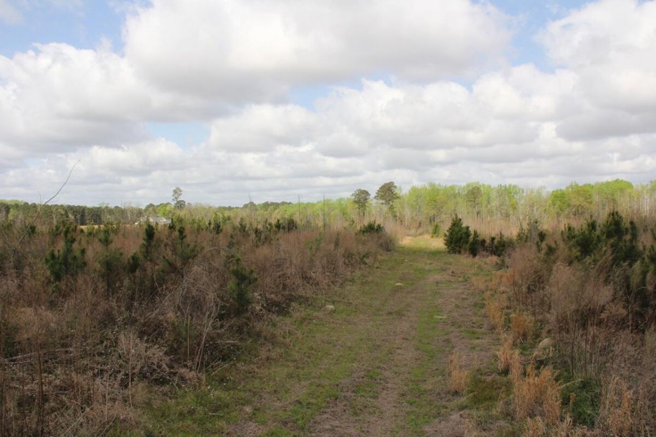 000 Ponderosa Road Photo 6
