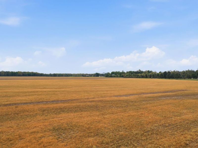 11732 Martin Alexander, Sardinia, OH 45171 Photo 11