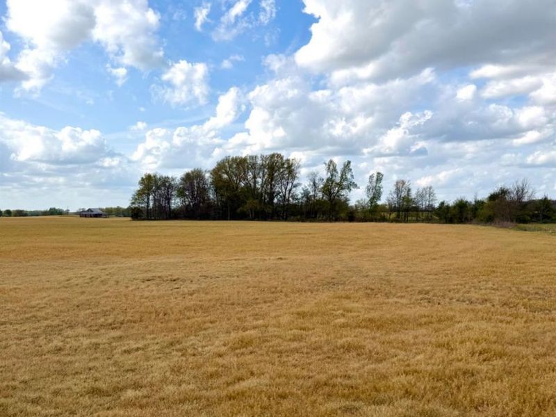 11732 Martin Alexander, Sardinia, OH 45171 Photo 79