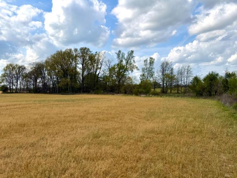 11732 Martin Alexander, Sardinia, OH 45171 Photo 81