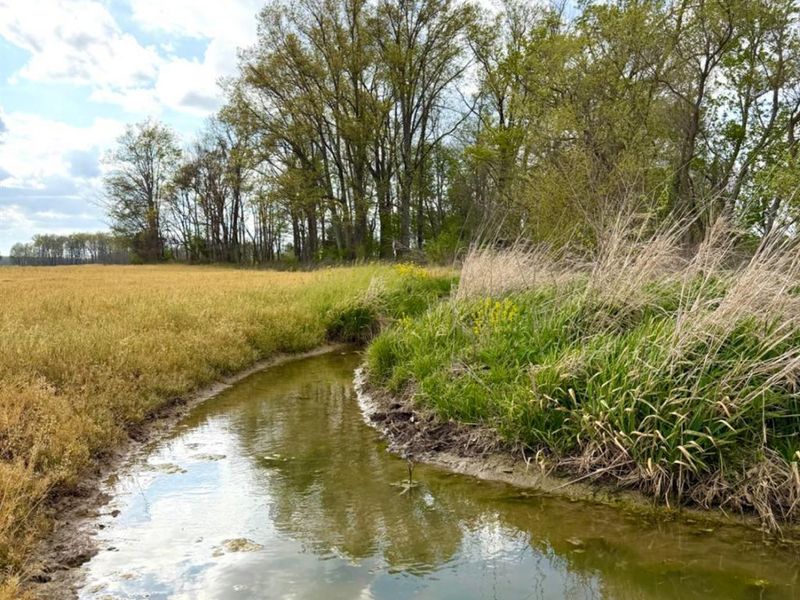 11732 Martin Alexander, Sardinia, OH 45171 Photo 83