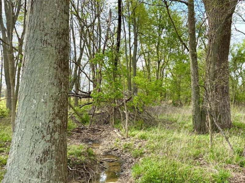 11732 Martin Alexander, Sardinia, OH 45171 Photo 84