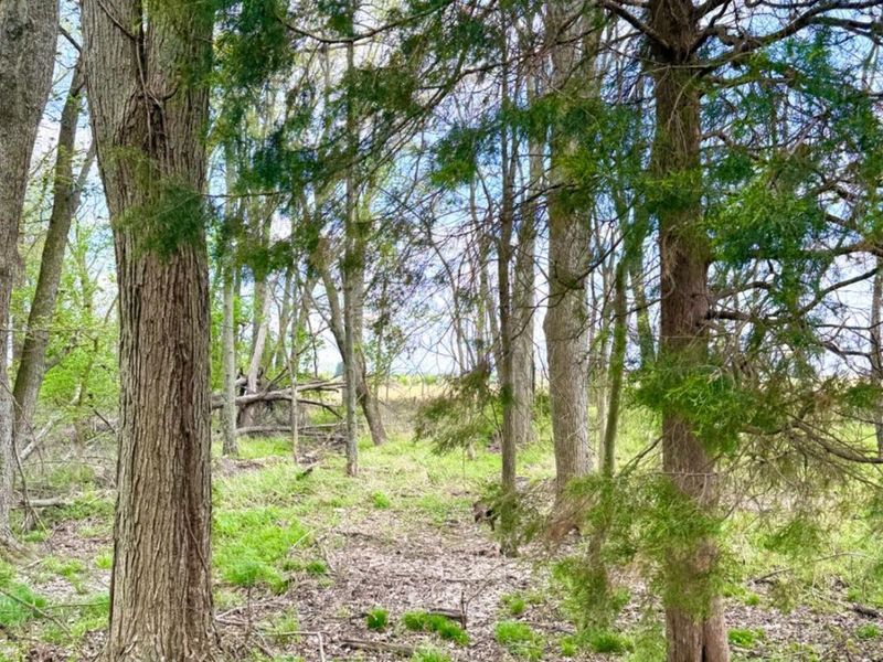 11732 Martin Alexander, Sardinia, OH 45171 Photo 88