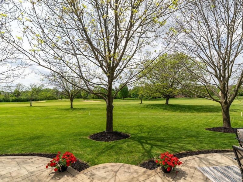 4119 Old Manchester Court, Mason, OH 45040 Photo 47