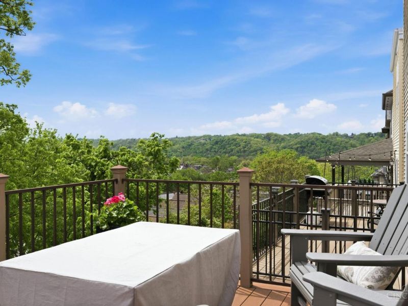 452 Strafer Street, Cincinnati, OH 45226 Photo 17