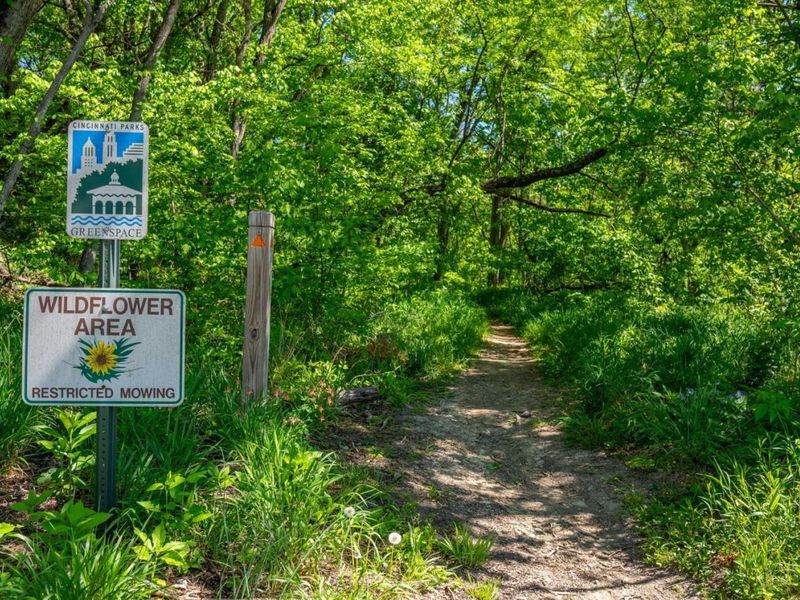 4216 Badgeley Circle, Cincinnati, OH 45223 Photo 47