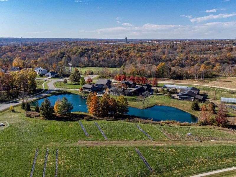 952 Lavender Way, Union Twp, OH 45152 Photo 40