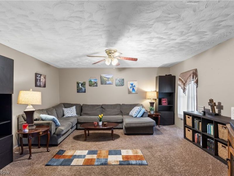 161 Main Street , Rayland, OH 43943 Photo 4