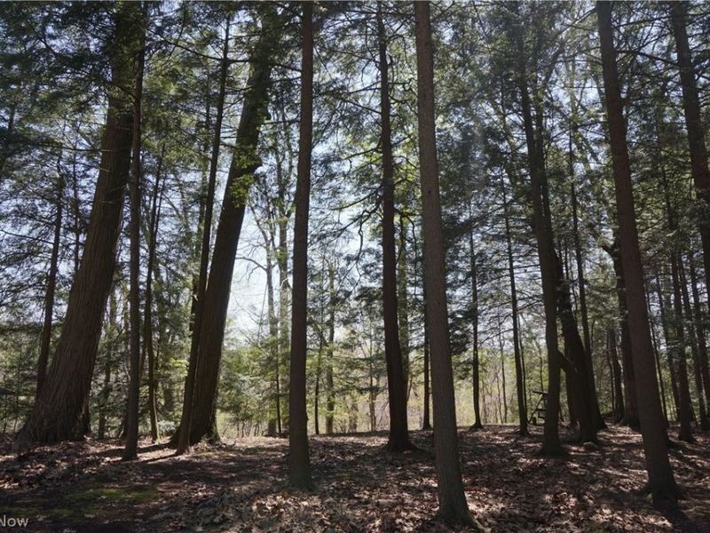 4706 Diane Drive , Ashtabula, OH 44004 Photo 39