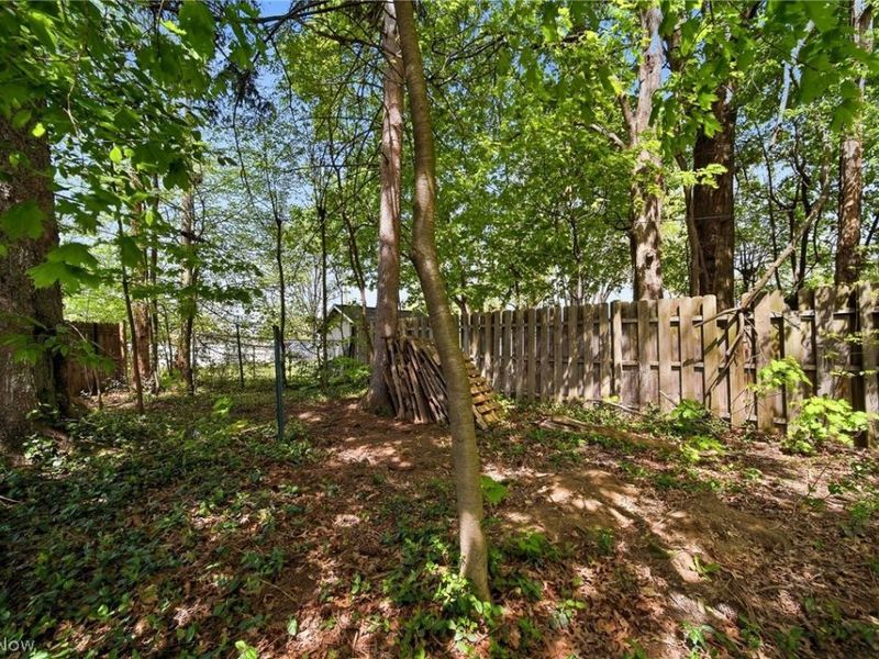 1712 Girard Street, Akron, OH 44301 Photo 23