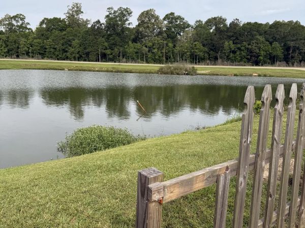 38437 Highland Terrace Ave, Watson, LA 70706