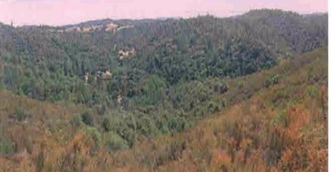 12209 Ponderosa Way, Mokelumne Hill, CA 95245 Photo