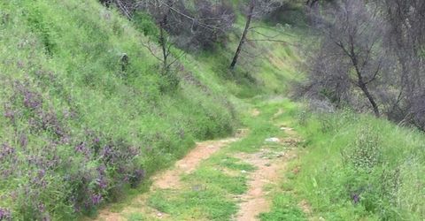 12209 Ponderosa Way, Mokelumne Hill, CA 95245 Photo