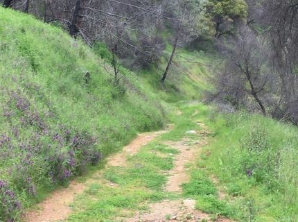 12209 Ponderosa Way, Mokelumne Hill, CA 95245 Photo