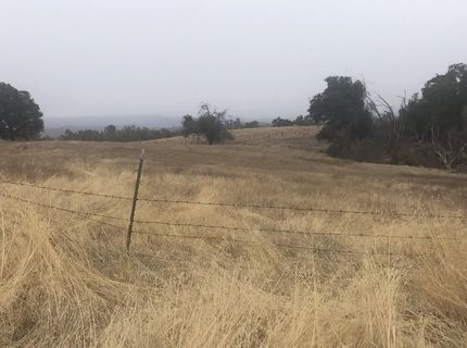 12209 Ponderosa Way, Mokelumne Hill, CA 95245 Photo