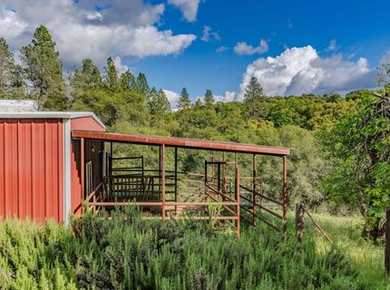 17295 Previtalli Rd, Jackson, CA 95642 Photo