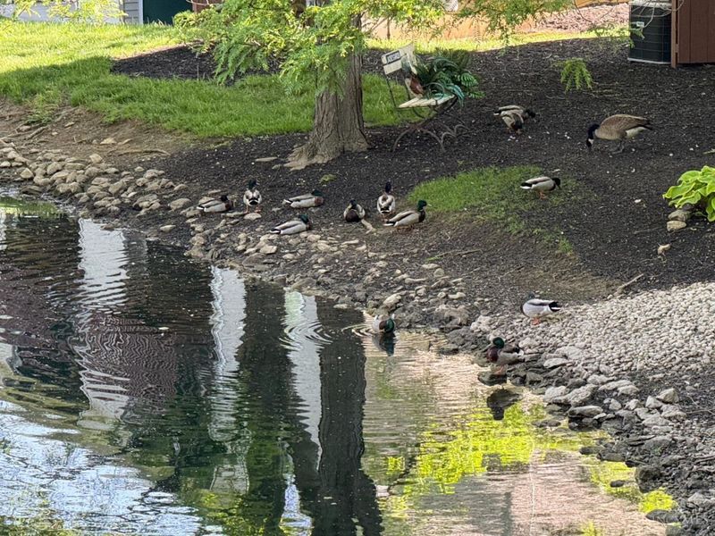 146 High Ridge, Unit 3, Fairfield, OH 45014 Photo 42