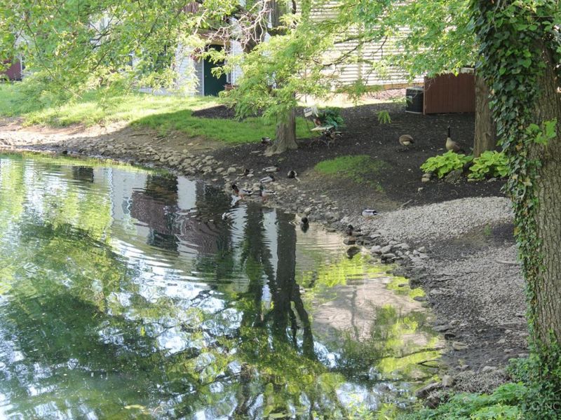 146 High Ridge, Unit 3, Fairfield, OH 45014 Photo 49