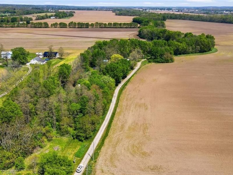 1444 Eagle City Road, Springfield, OH 45504 Photo 4