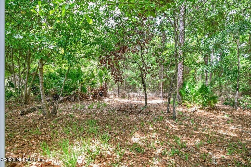 3839 Trail Ridge Road, Middleburg, FL 32068 Photo