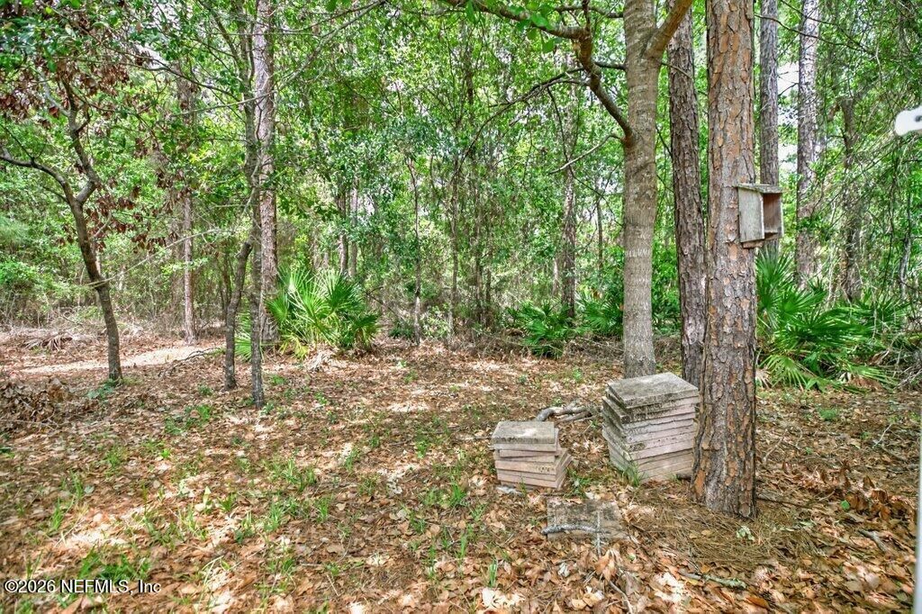 3839 Trail Ridge Road, Middleburg, FL 32068 Photo