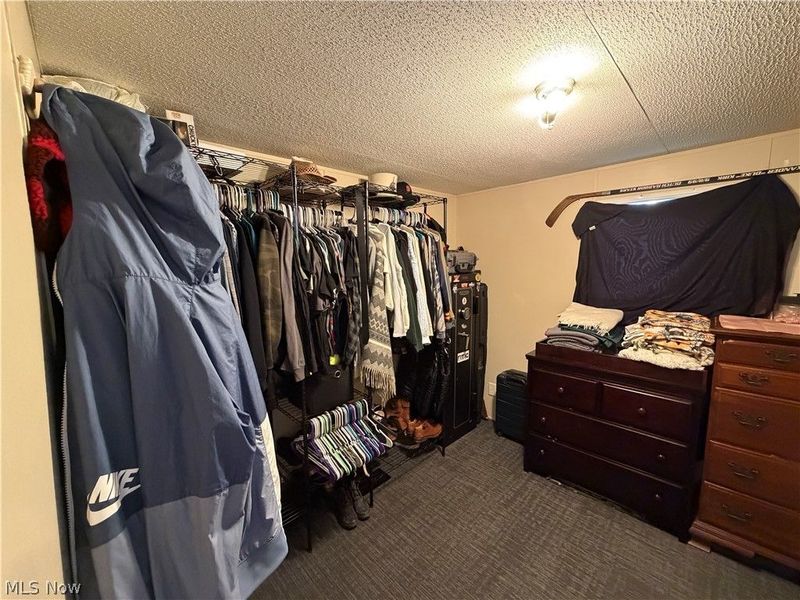 2316 Deerfield Drive , Deerfield, OH 44411 Photo 8