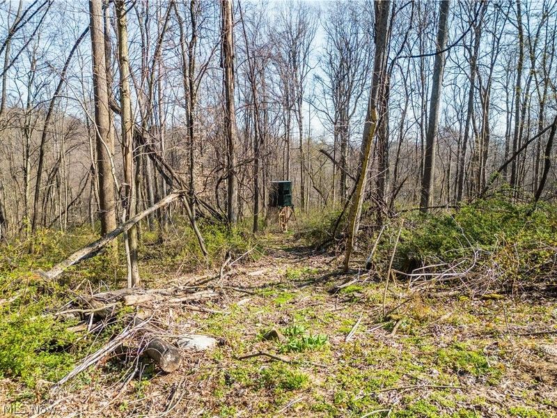 6706 Township Road 323 Road, Millersburg, OH 44633 Photo 11