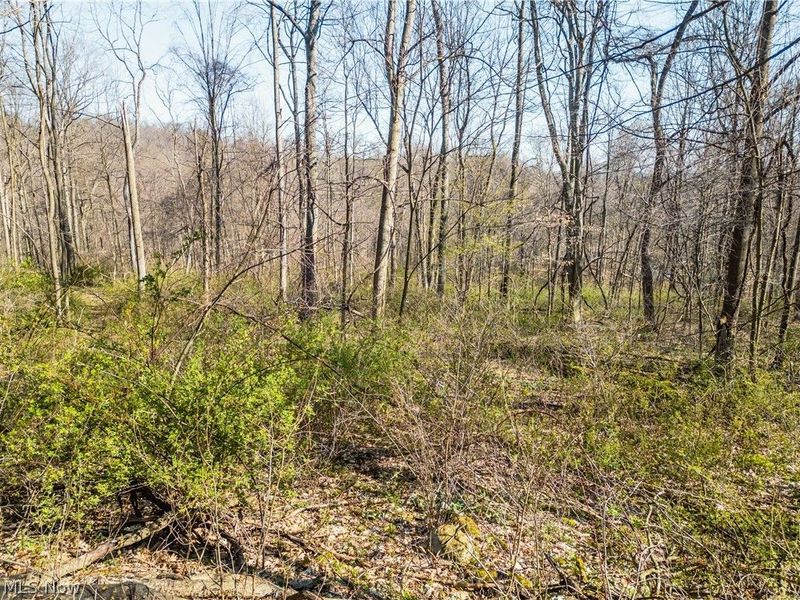 6706 Township Road 323 Road, Millersburg, OH 44633 Photo 12
