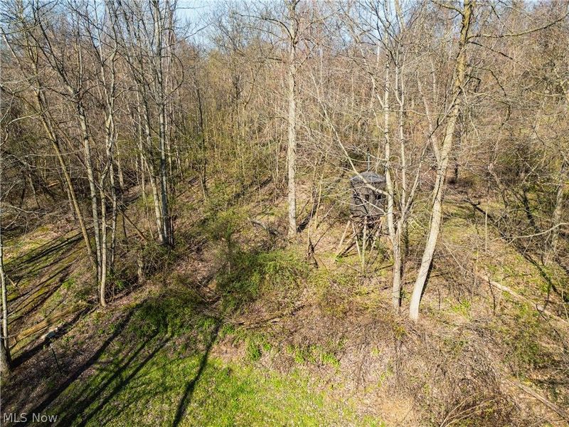 6706 Township Road 323 Road, Millersburg, OH 44633 Photo 3