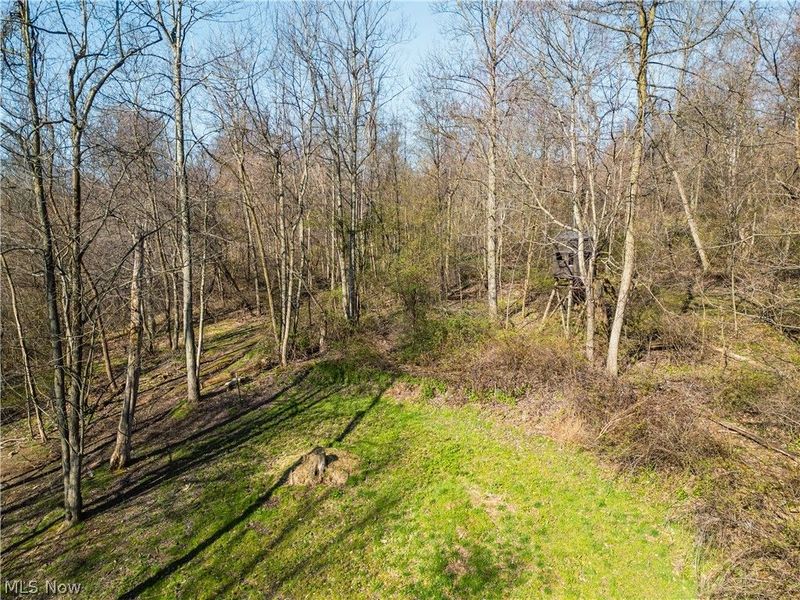 6706 Township Road 323 Road, Millersburg, OH 44633 Photo 4