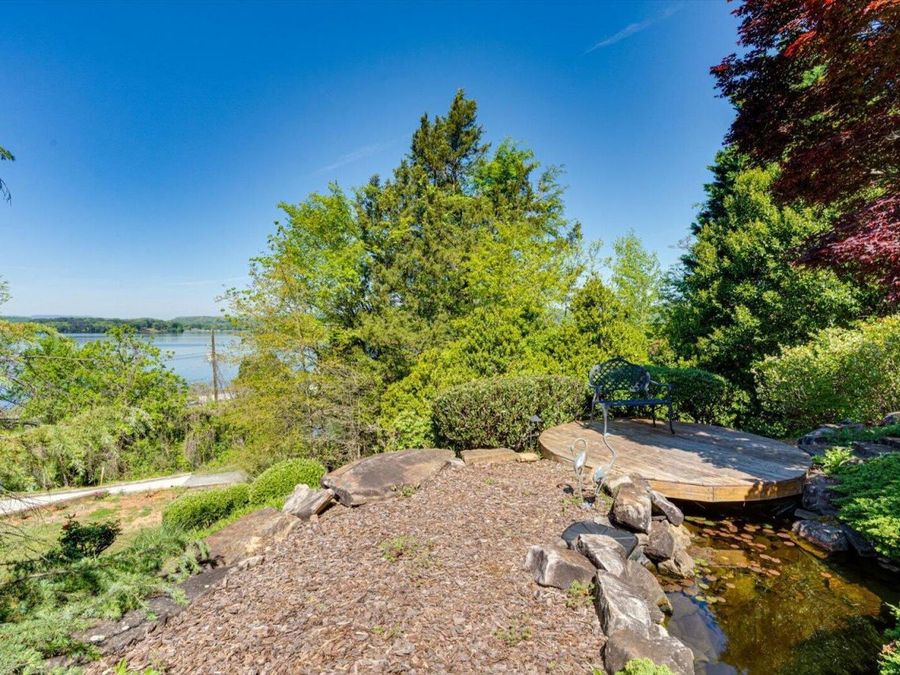 Property Image 81