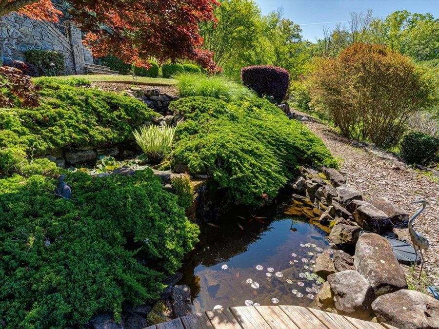Property Image 82