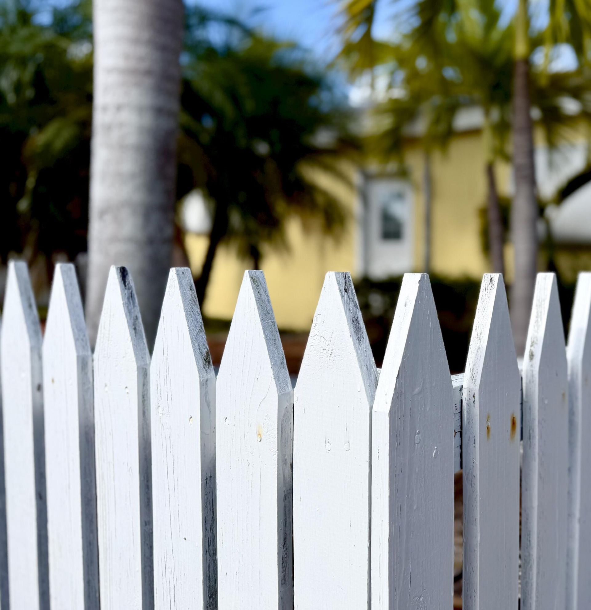 157 Caloosa Street, Islamorada, FL 33070 Photo