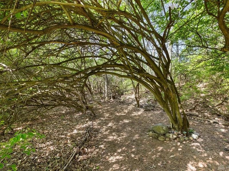 841 Willow Road, Moorefield Township, OH 45502 Photo 47