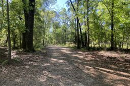 6079 Josie Ridge Road photo 4