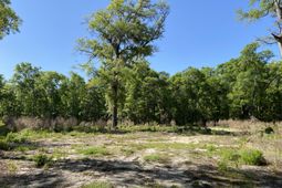 6079 Josie Ridge Road photo 4