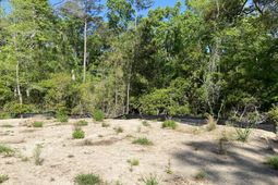 6079 Josie Ridge Road photo 4