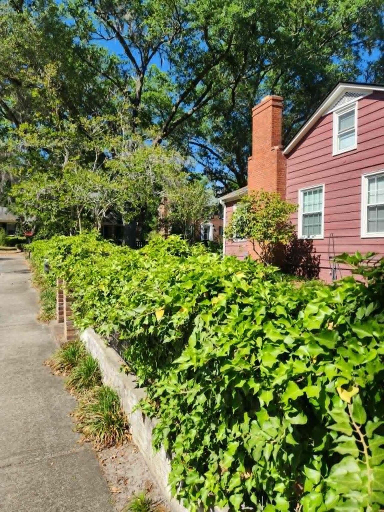200 Warren Street Photo 35