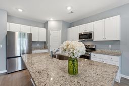 536 Appaloosa Way photo 4