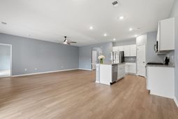 536 Appaloosa Way photo 4