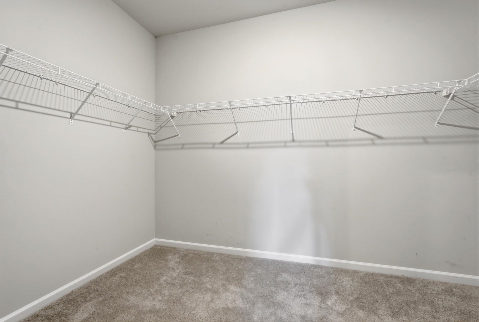 536 Appaloosa Way Photo 8