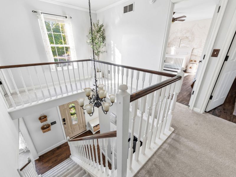 1972 Morningside Drive, Florence, KY 41042 Photo 21