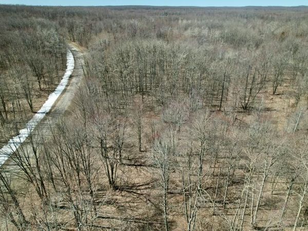 363 Wyndwood Drive, Mancelona, MI 49659