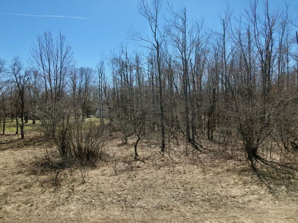 430 Northridge Drive, Mancelona, MI 49659