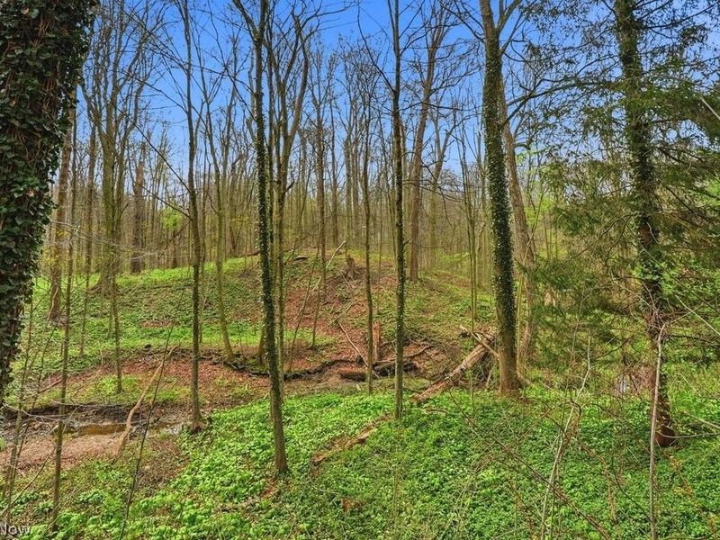 6055 Deepwood Drive , Chagrin Falls, OH 44022 Photo 23