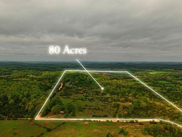 1141 Little Woods Road, Elizabeth, AR 72531