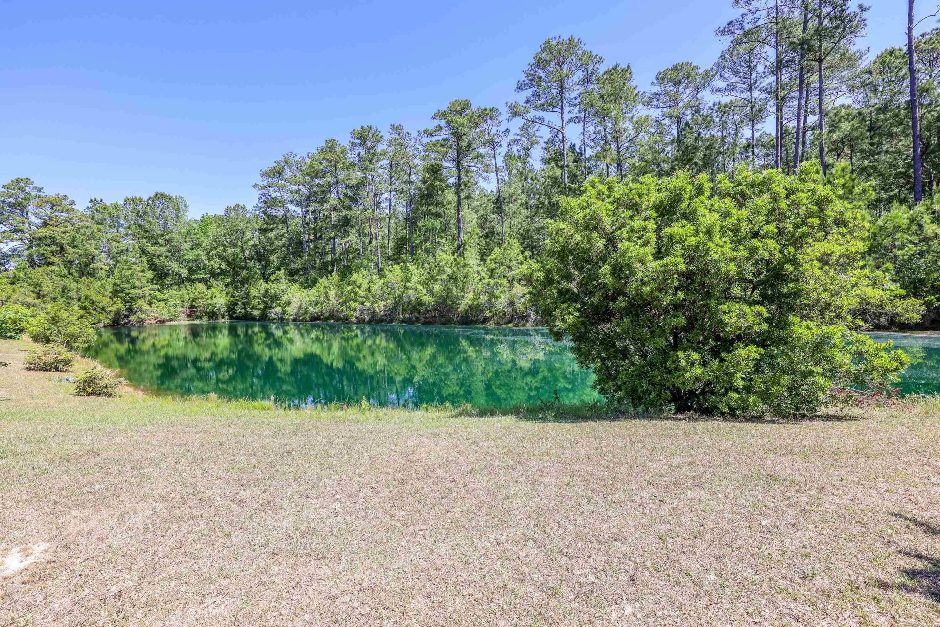 405 Carrick Loop  Photo 26