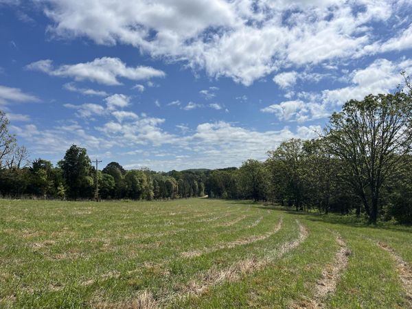 000 County Road 350 , Drury, MO 65638