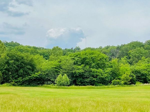0 Deer Run Plat 12 Lot 9, Van Buren, MO 63965