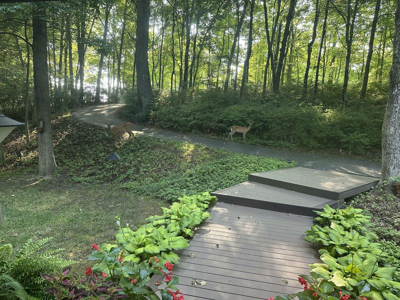 430 Leander Drive, Springfield, OH 45504 Photo 100